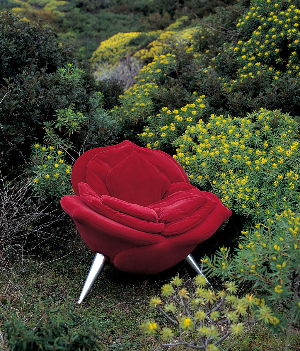 EDRA - ROSE CHAIR