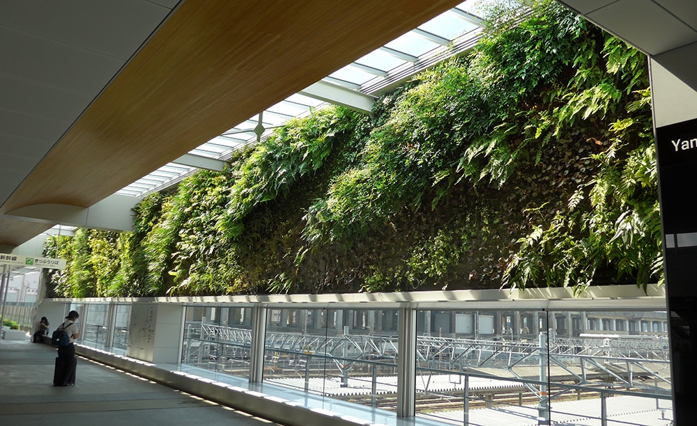 vertical gardens