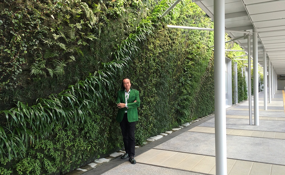 vertical gardens