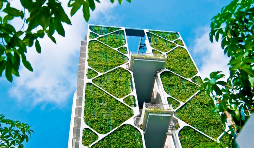 vertical gardens