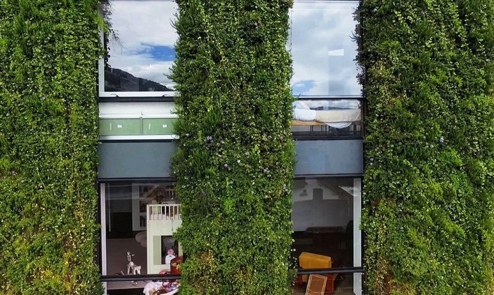 vertical gardens