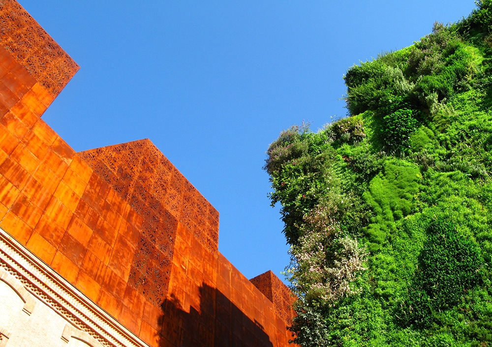 vertical gardens