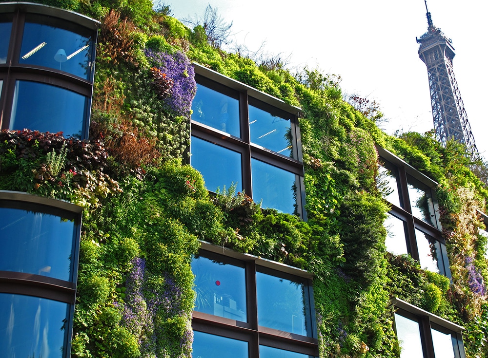 vertical gardens