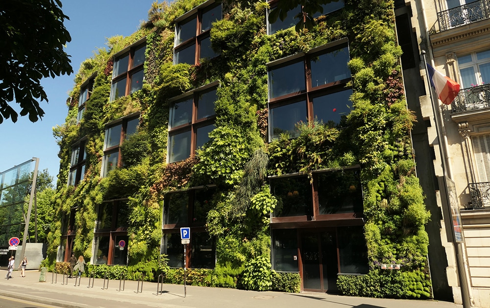vertical gardens