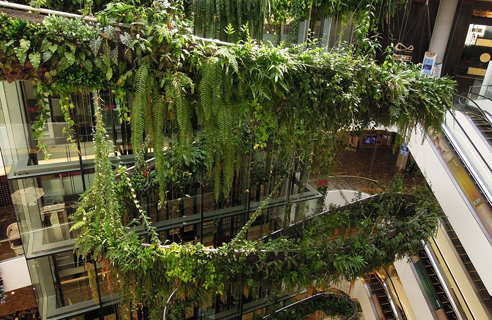 vertical gardens
